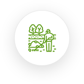 Landscaping Services
